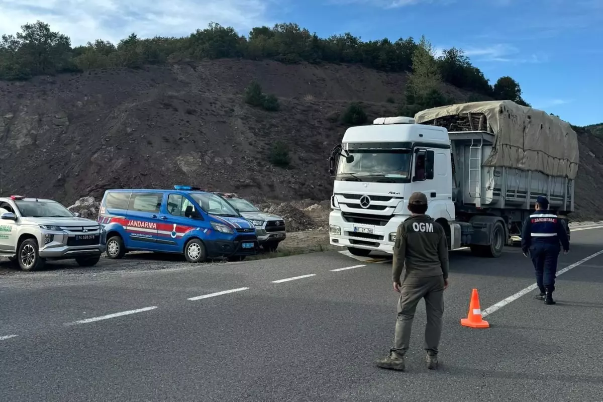 Kaçak Orman Emvaline Sıkı Denetim