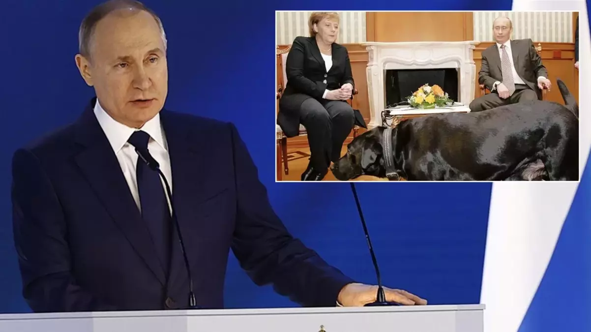 Putin\'den Merkel\'e 17 yıl sonra \'\'köpek özrü\'\' geldi