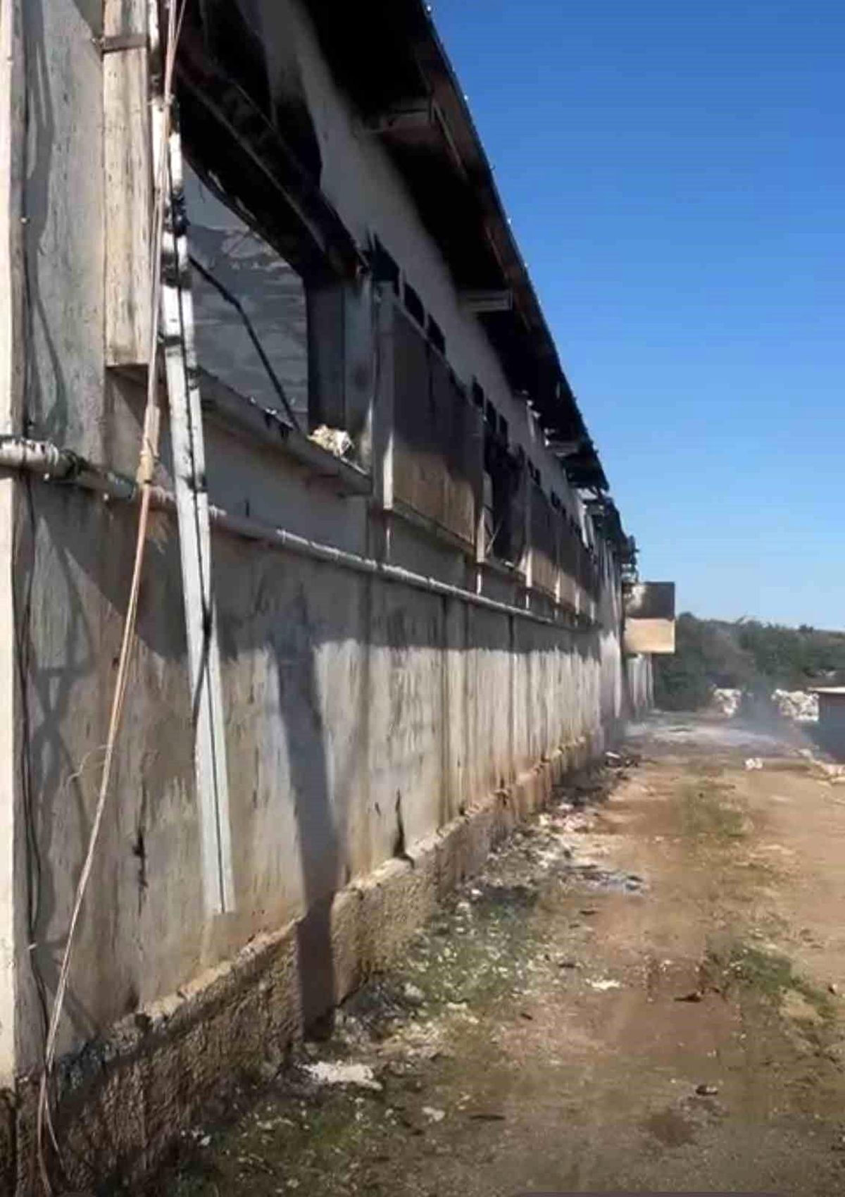 Tarsus\'ta Tavuk Çiftliğinde Yangın
