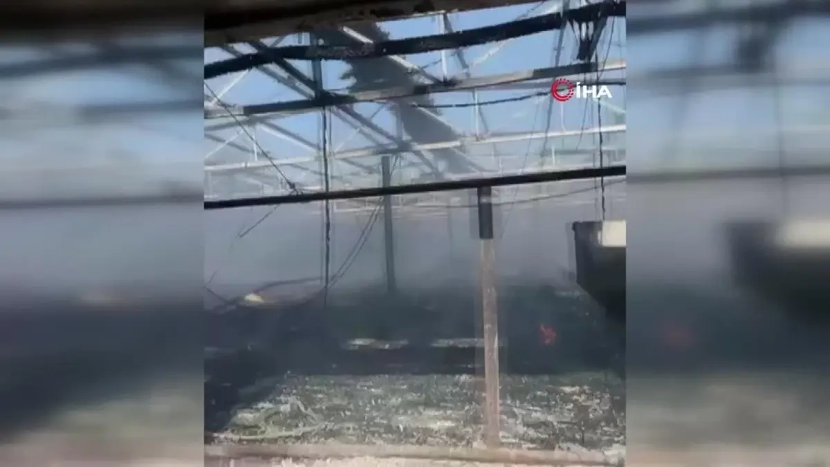 Tarsus\'taki Tavuk Çiftliğinde Yangın: 33 Bin Civciv Telef Oldu