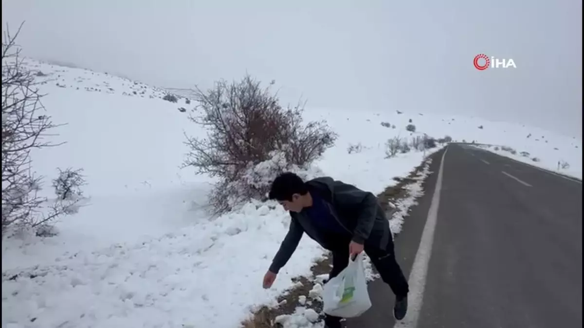 Berkay Yıldırım\'dan Yaban Hayvanlara Yem Desteği