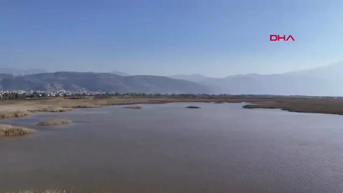 Milleyha Kuş Cenneti Eski Günlerine Dönüyor