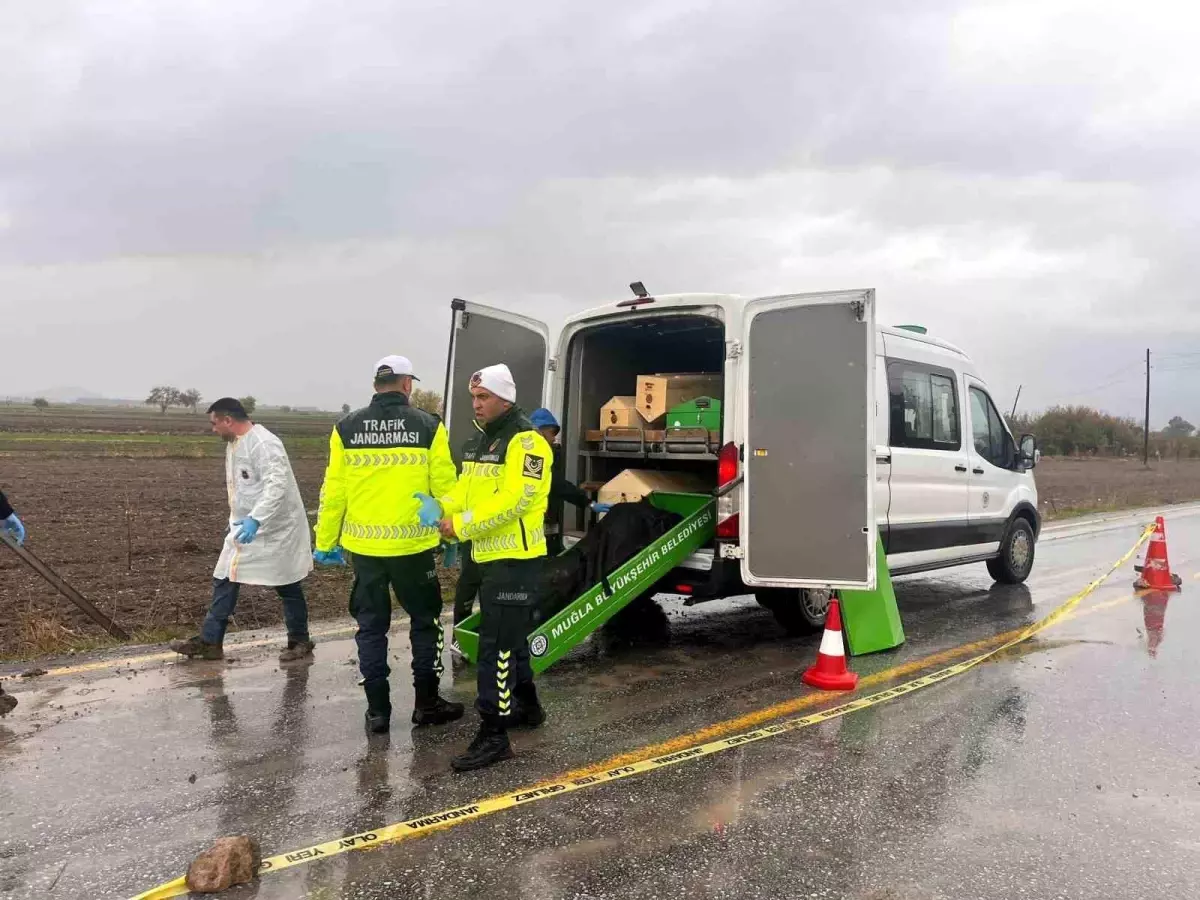 Milas\'ta Şüpheli Ölüm: Erkek Cesedi Bulundu