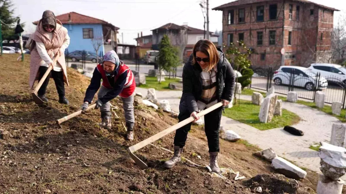 Düzce Belediyesi Park ve Bahçeler Müdürlüğü Ekipleri Prusias Ad Hypium\'da Kazı Çalışmalarına Katıldı