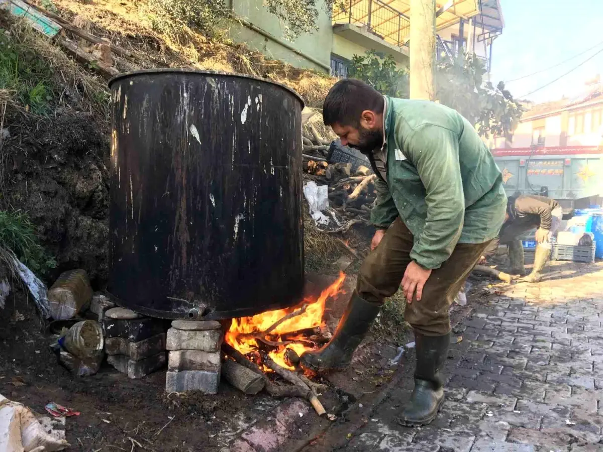 Zeytinyağı Sabunuyla Doğal Güzellik