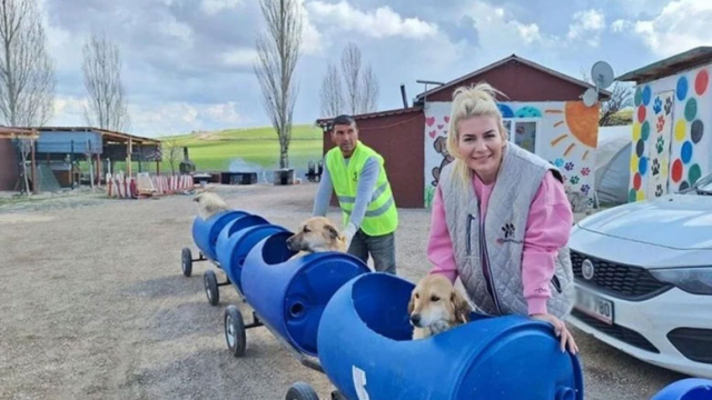 Bağış paralarıyla 20 milyonluk vurgun: 'Köpek velisi' tutuklandı