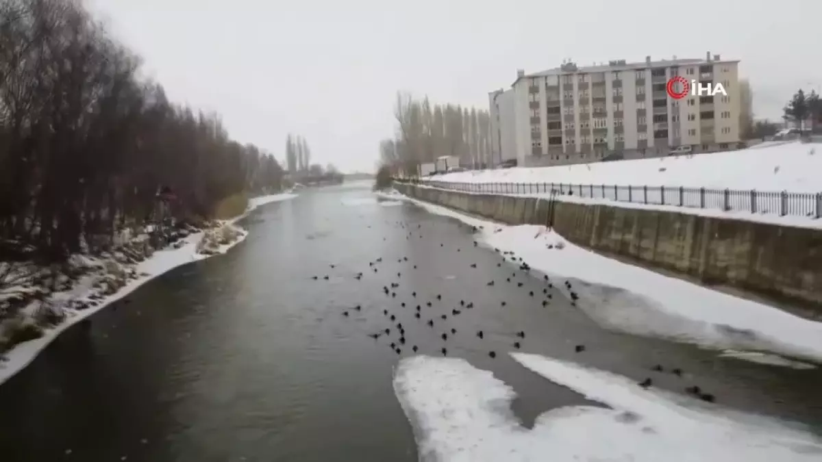 Bayburt\'ta Çoruh Nehri Kısmen Buz Tutuyor