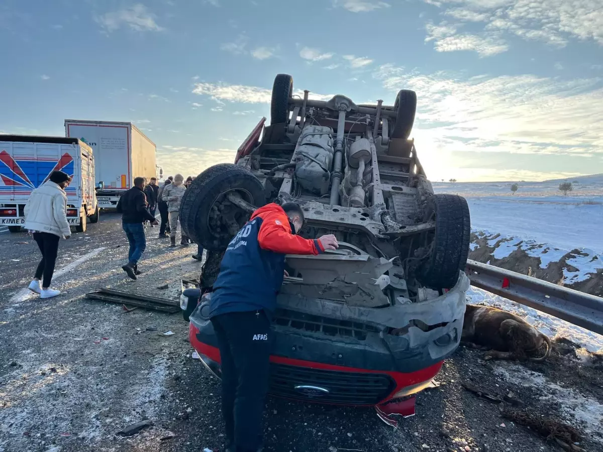 Ardahan\'da Hayvan Yüklü Kamyonet ile TIR Çarpıştı: 3 Yaralı