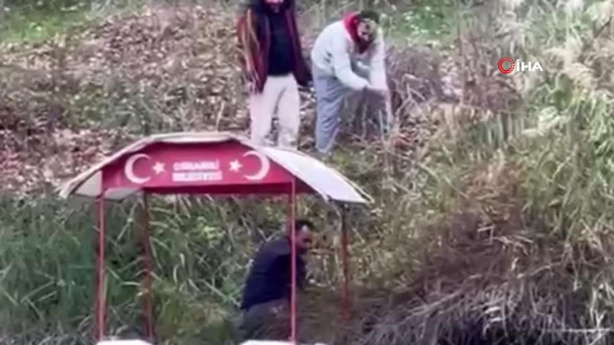 Sakarya Nehri\'ne Düşen Köpek Tekne ile Kurtarıldı