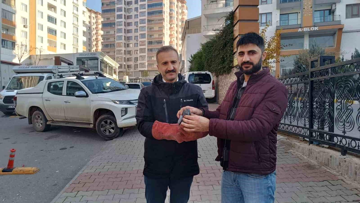 Yaralı Güvercin Tedavi Altında