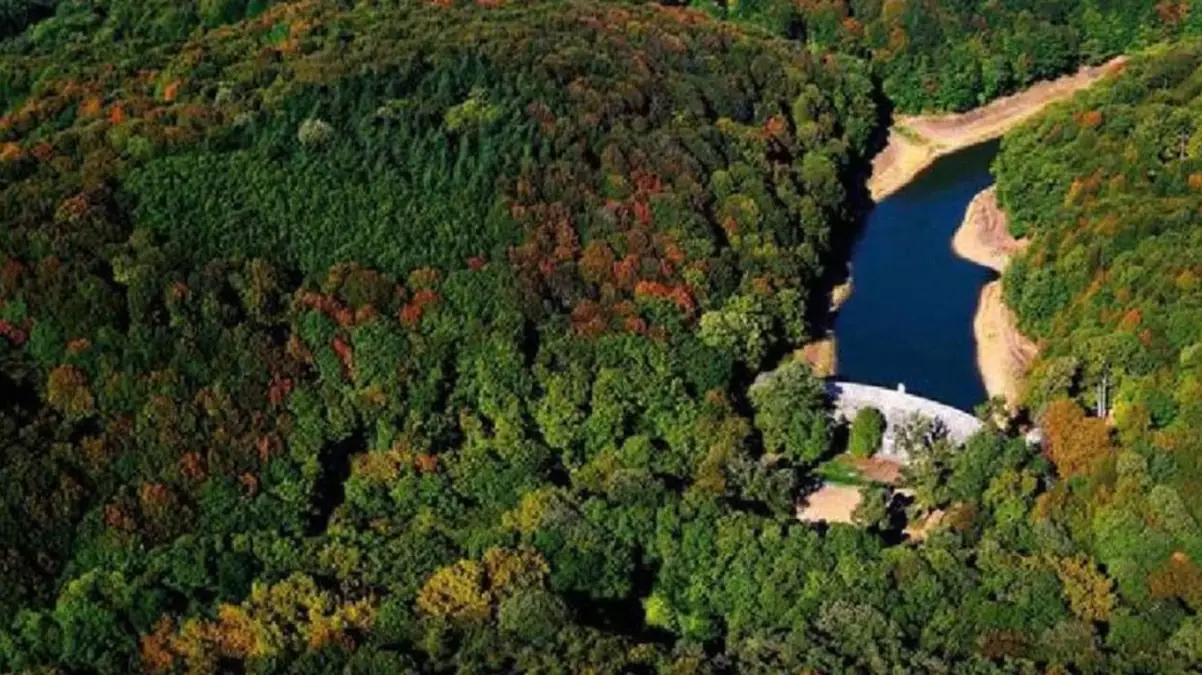 \'\'Belgrad Ormanı imara açılıyor\'\' iddiası ile ilgili beklenen açıklama