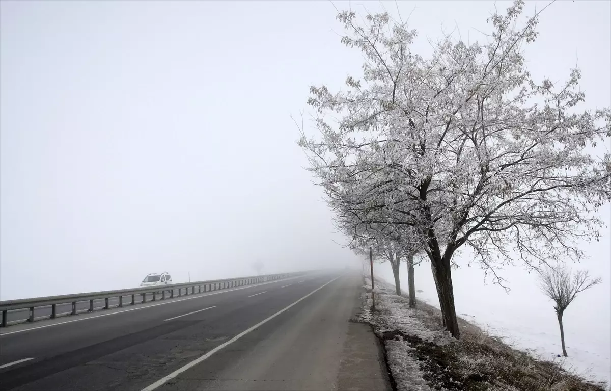 Bitlis\'te Soğuk ve Sis Zorluğu