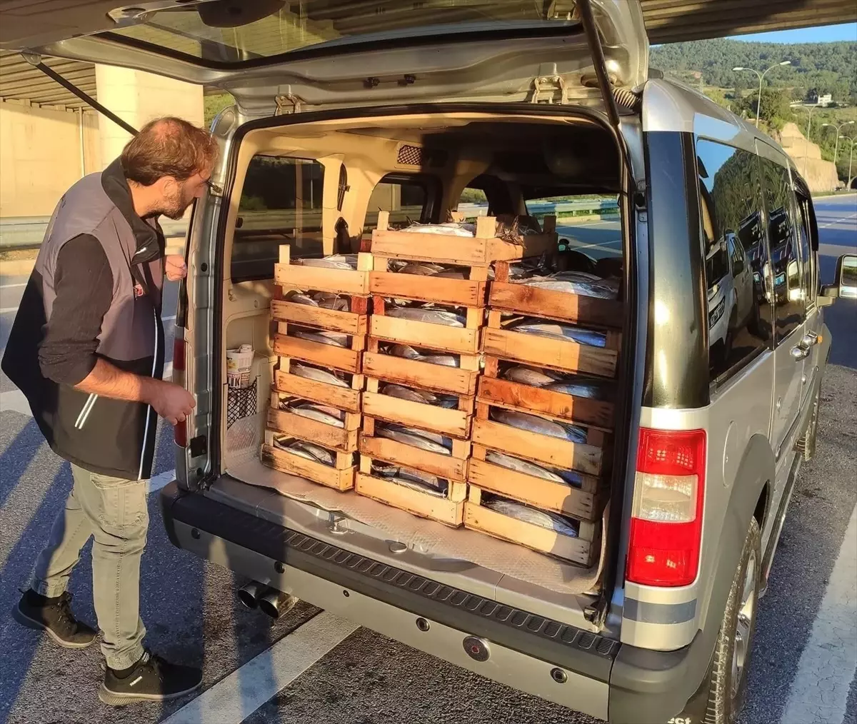 Sinop\'ta 50 Ton Su Ürününe El Konuldu