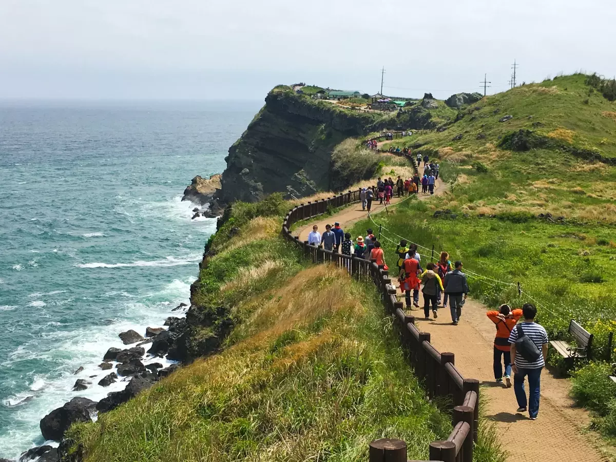 Jeju Adası\'nda 38 Vietnamlı Turist Kayboldu