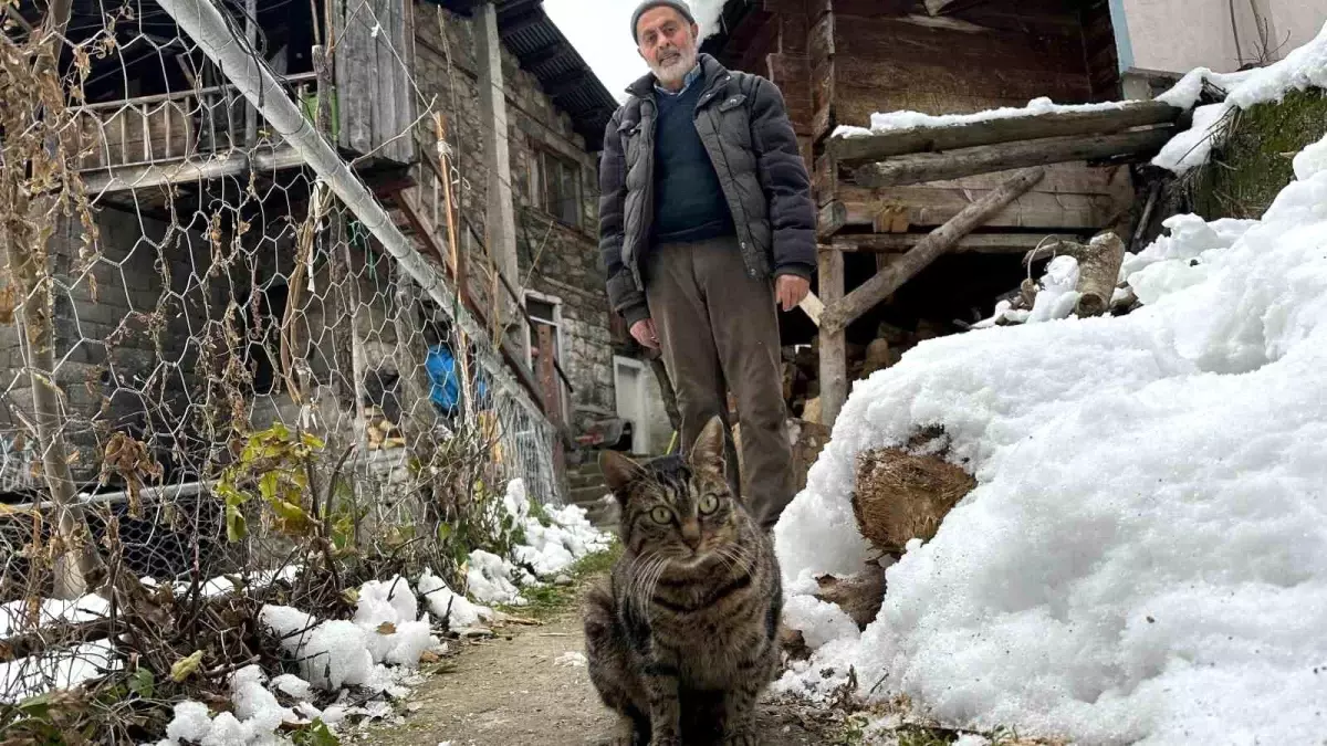 Ahmet Şahin Kedileri İçin Karlı Yolları Aşıyor