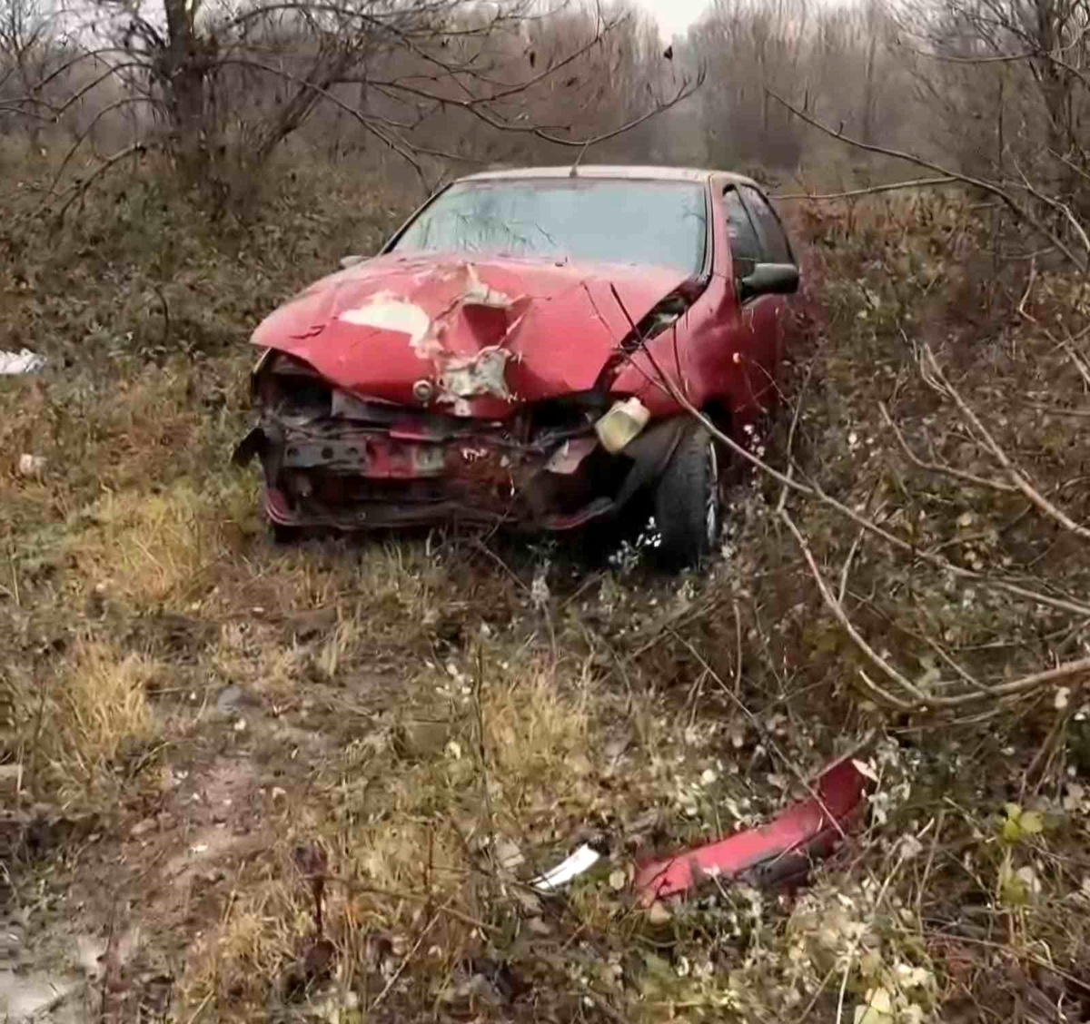 Bartın\'da Domuza Çarpan Otomobil Kaza Yaptı