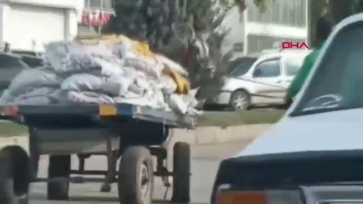 Şanlıurfa\'da Ata Eziyet Eden Kişinin Görüntüleri Sosyal Medyada Tepki Topladı
