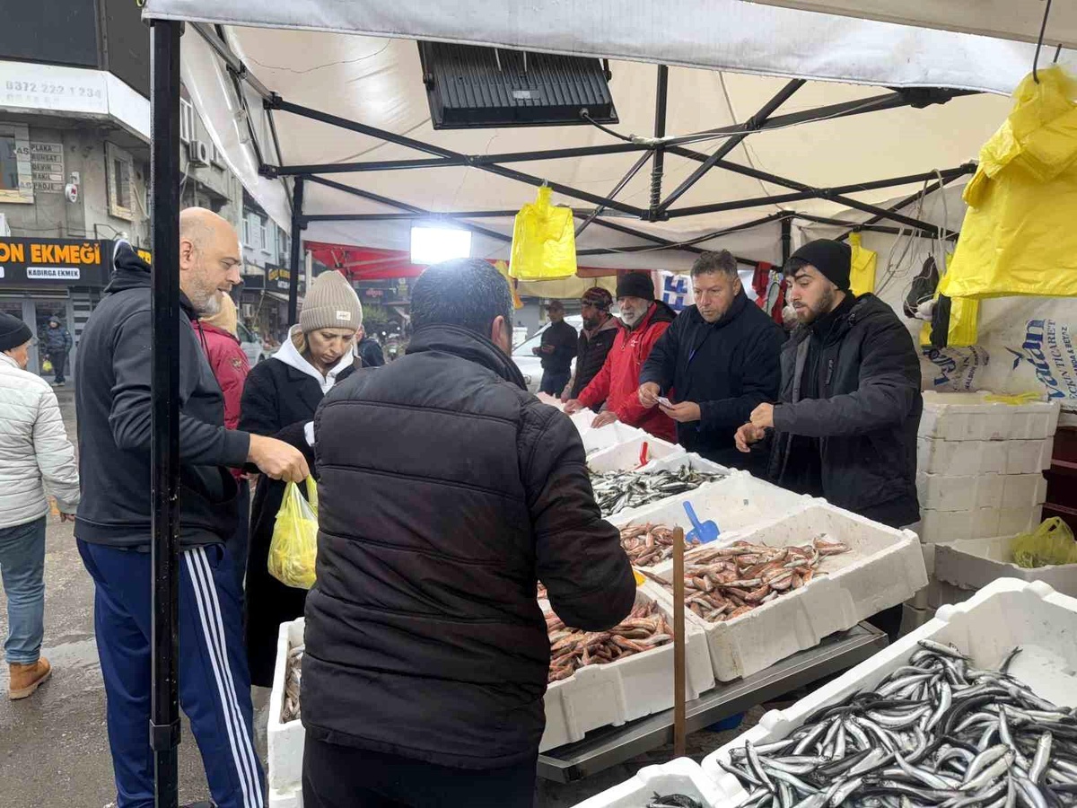 Zonguldak\'ta İstavrite Yoğun İlgi