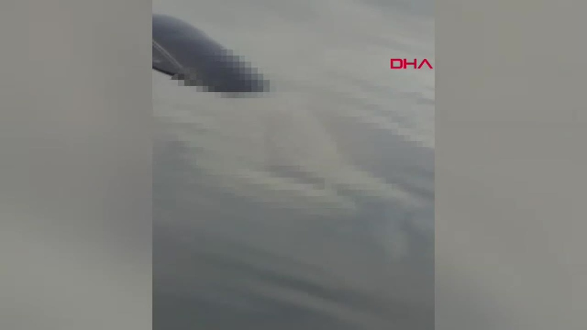 İzmit Körfezi\'nde Bağlı Eliyle Ceset Bulundu
