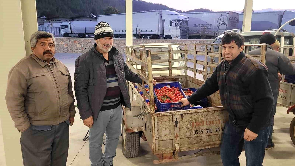 Muğla Büyükşehir Belediyesi Üreticilere 9 Milyon TL Destek Sağladı