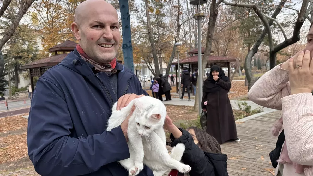 Ağaçta Mahsur Kalan Kedi Kurtarıldı