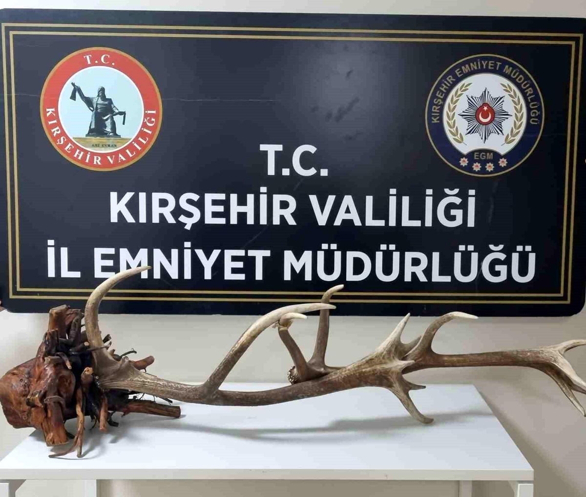Kırşehir\'de Yasaklı Kızıl Geyik Satışı Engellendi
