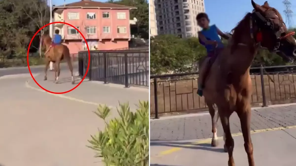 İstanbul\'un göbeğinde küçük bir çocuk ata binerken görüntülendi