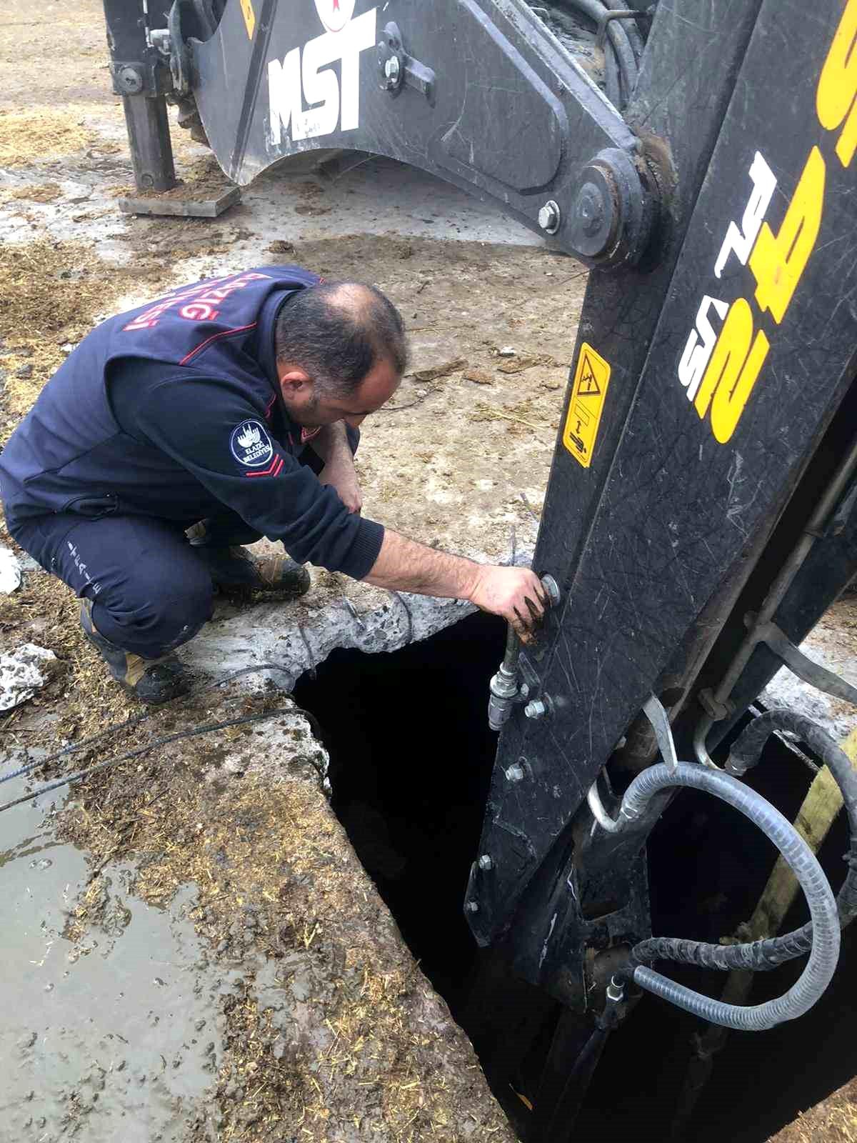 Elazığ\'da Gebe İnek Çukura Düştü, İtfaiye Ekipleri Kurtardı