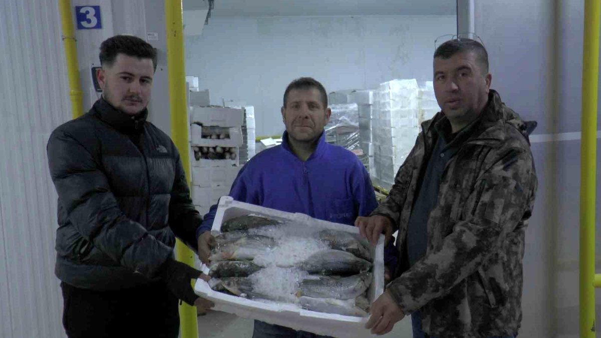 Denizi Olmayan Kayseri\'den 10,5 Bin Ton Balık İhracatı