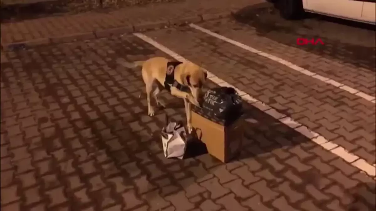 Kayseri\'de Narkotik Operasyonu: 592,55 Gram Skunk Ele Geçirildi