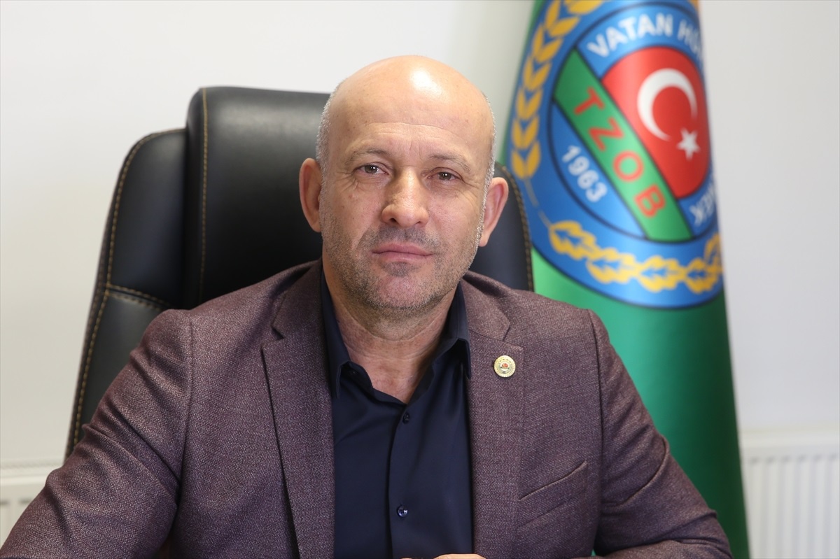 Trakya\'da Yağışlar Buğdayı Canlandırdı