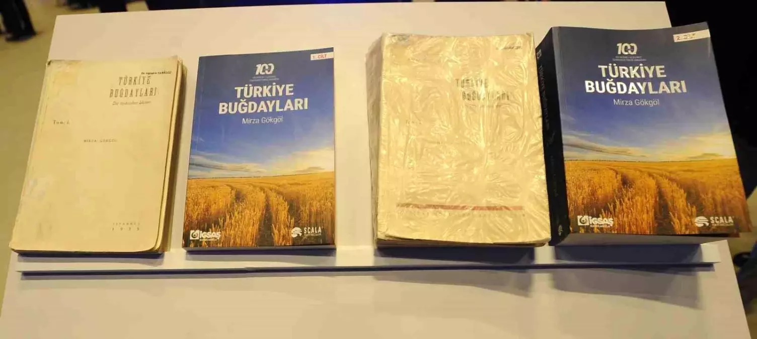 Anadolu Buğdayları Yeniden Gün Yüzünde