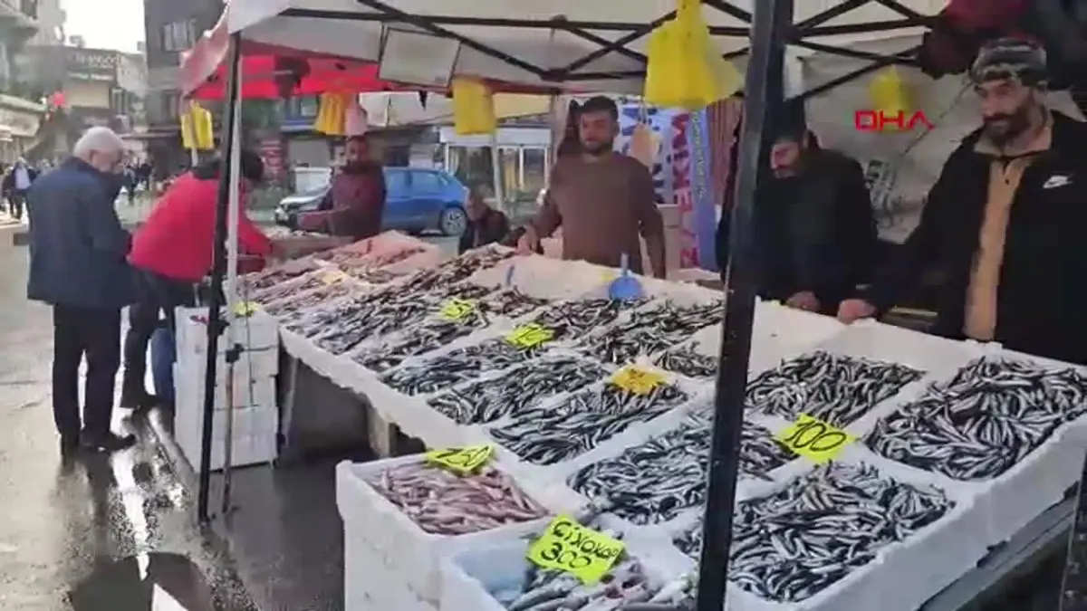 Zonguldak\'ta Hamsi Fiyatları 75 Lira ile Tezgahlarda!