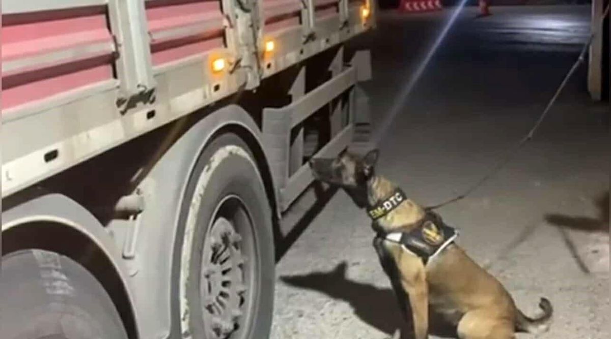 Osmaniye\'de Tırda 21 Kilo Skunk Ele Geçirildi