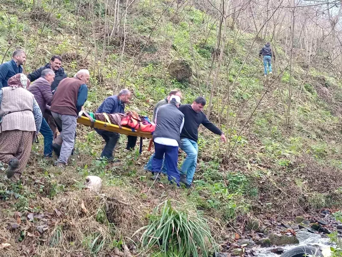 Trabzon\'da Otomobil Dereye Uçtu: 2 Yaralı