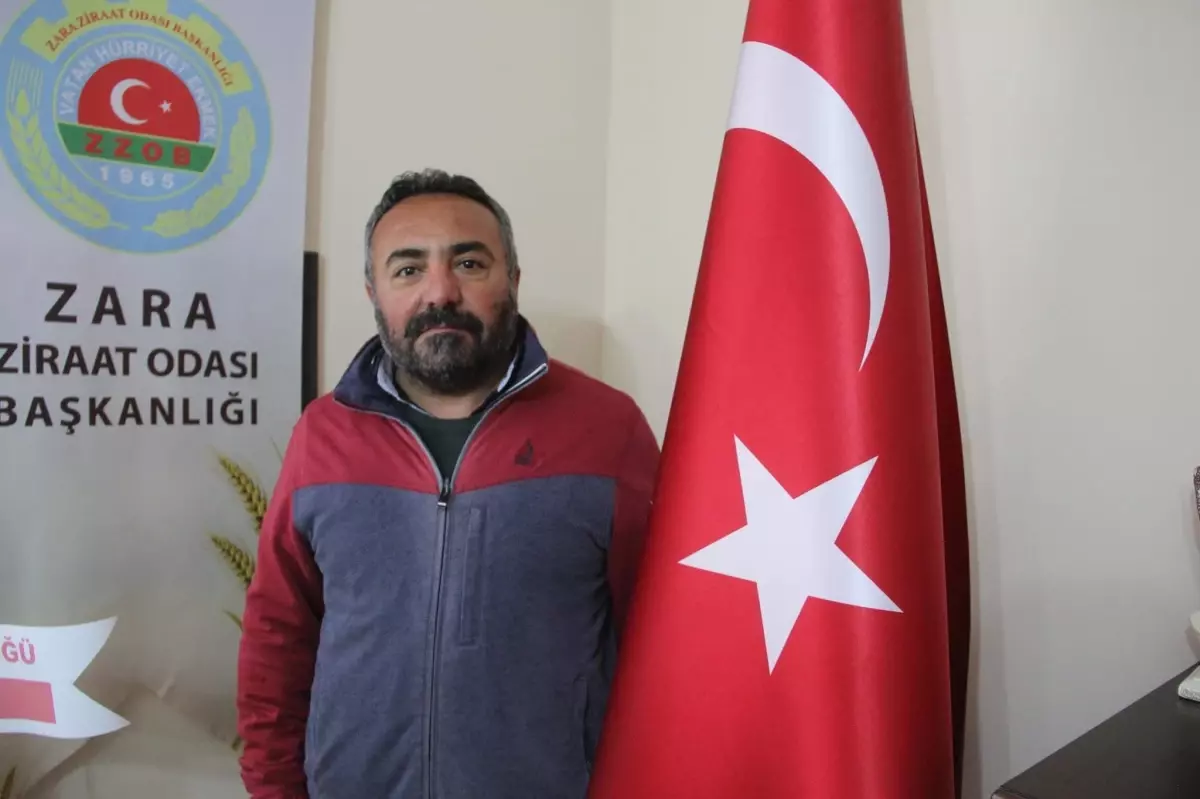 Kırsalda Ayı Saldırısına Uğrayan Mahmut Alkaya Hayatını Kaybetti