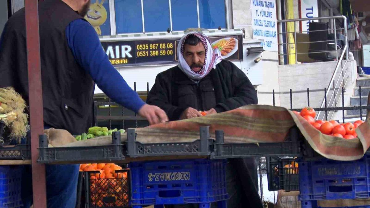 Suriyeliler Suriye\'ye Dönmeye Hazırlanıyor