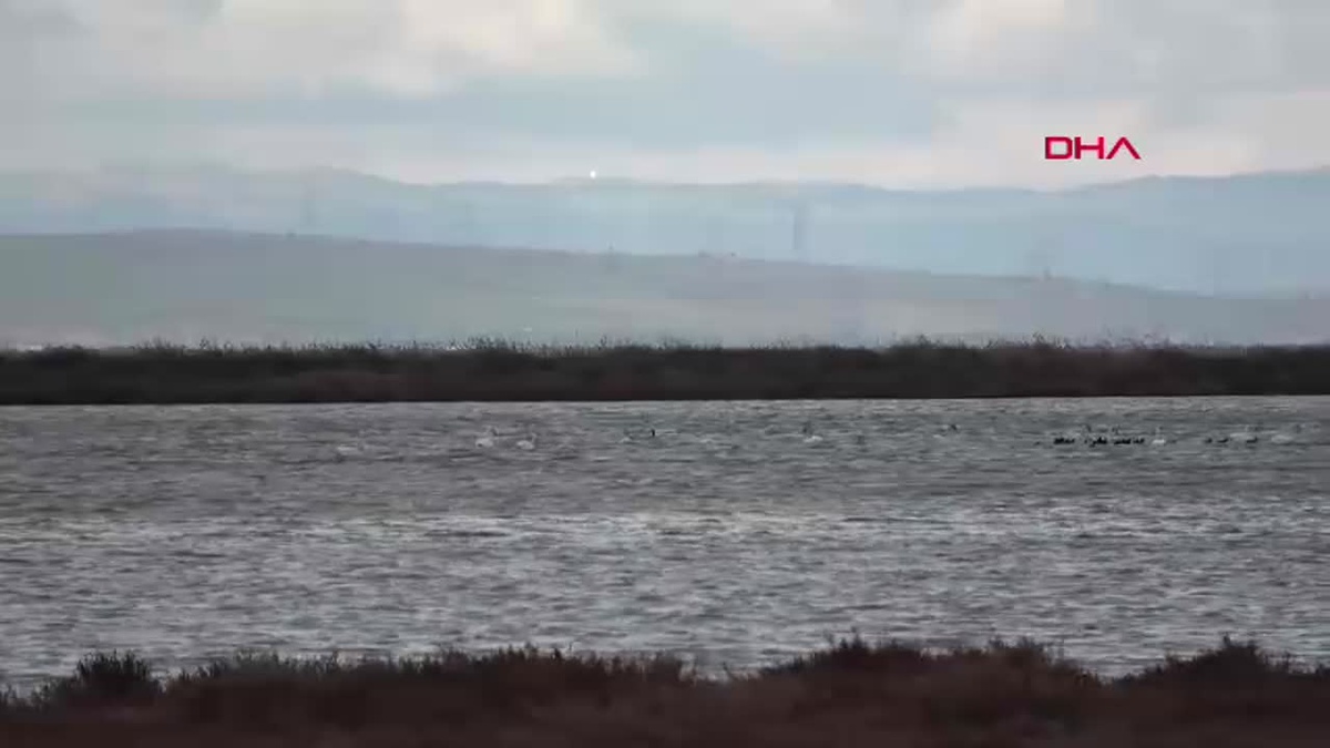 Çanakkale\'de 50 Yeni Kuş Türü Tespit Edildi