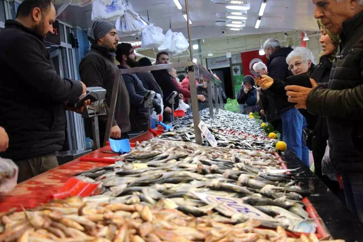 Bolu\'da Hamsi Fiyatları Düşünce Talep Arttı