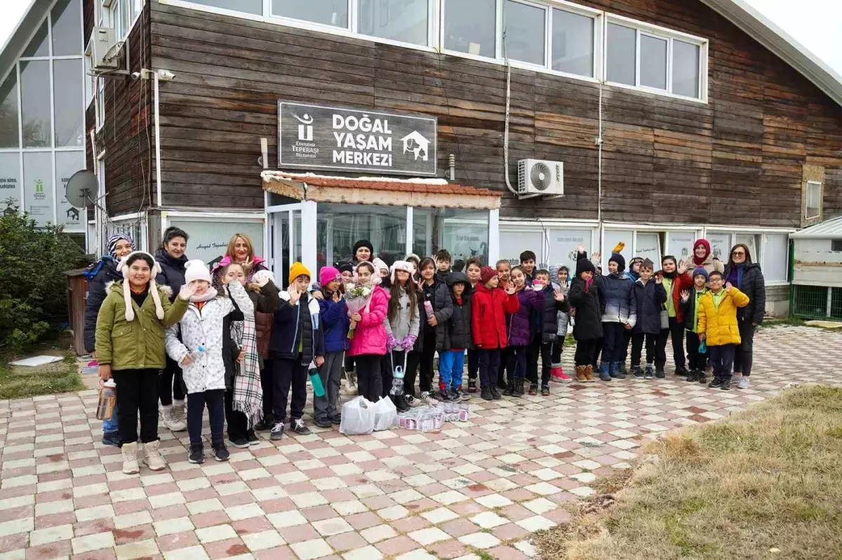 Öğrencilerden Sokak Hayvanlarına Mama Bağışı