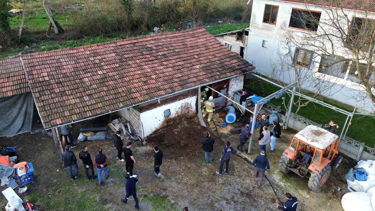 Düzce\'de Samanlık Yangınına Zamanında Müdahale: 3 Büyükbaş Hayvan Kurtarıldı