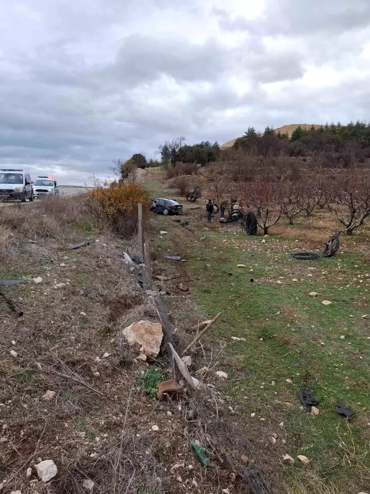 Ehliyetsiz Sürücü Bahçeye Uçtu