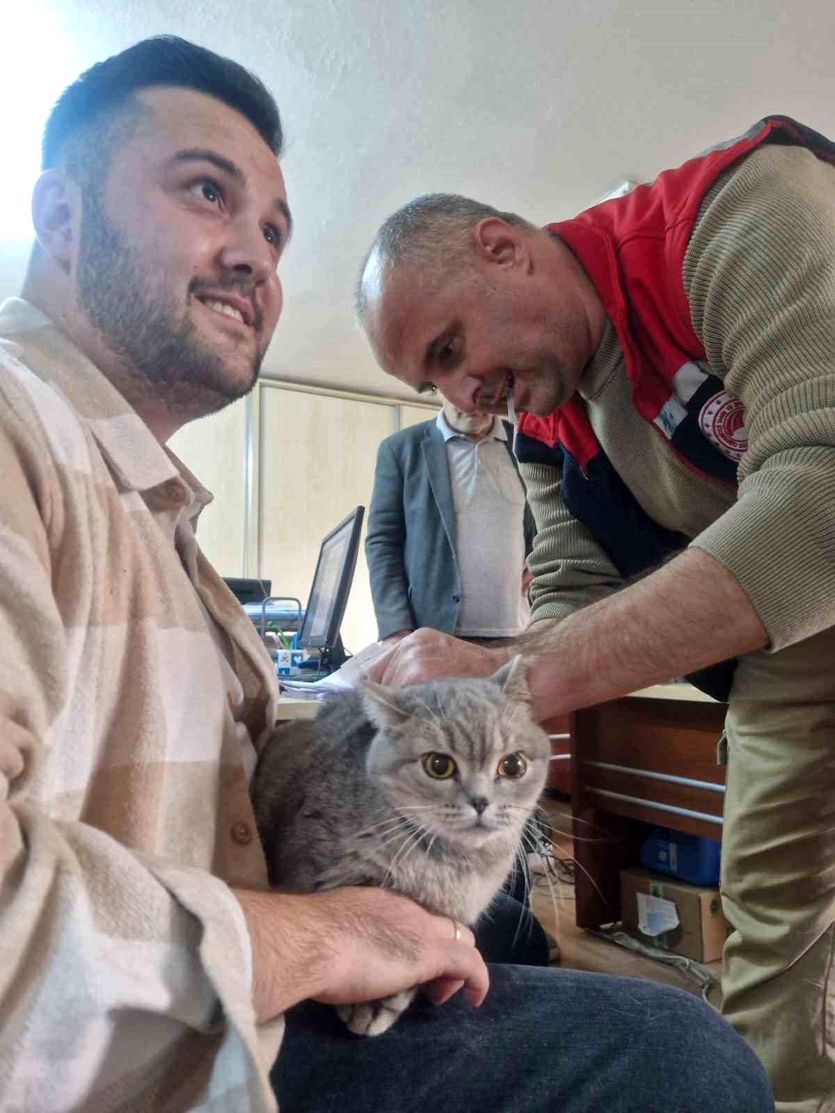Evcil Hayvanlar İçin Çip Zorunluluğu Hatırlatması