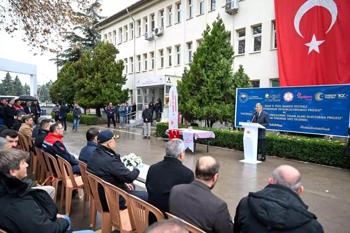 Uşak\'ta Eşme Koyunu Projesi Kapsamında 500 Koyun Dağıtıldı