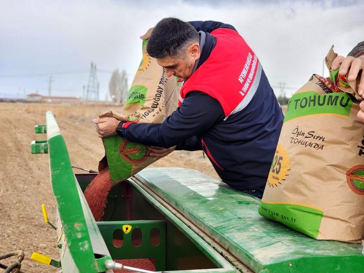Afyonkarahisar\'da 300 Ton Buğday Ekimi Yapıldı