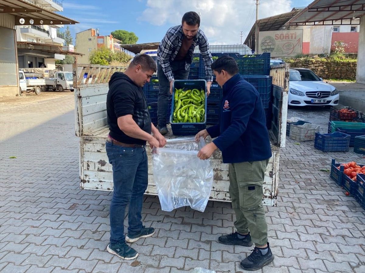 Duyarlı Buldu, Sahibini Buldu