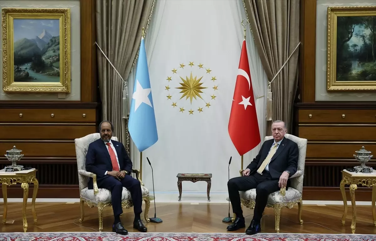 Cumhurbaşkanı Erdoğan, Somali Cumhurbaşkanı Mahmud ile bir araya geldi