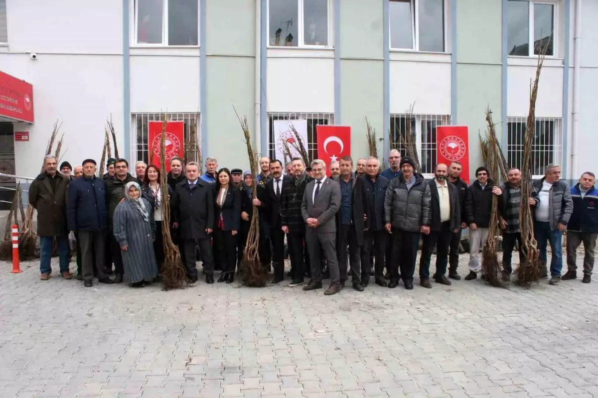 Bozüyük\'te Meyve Fidanı Dağıtımı