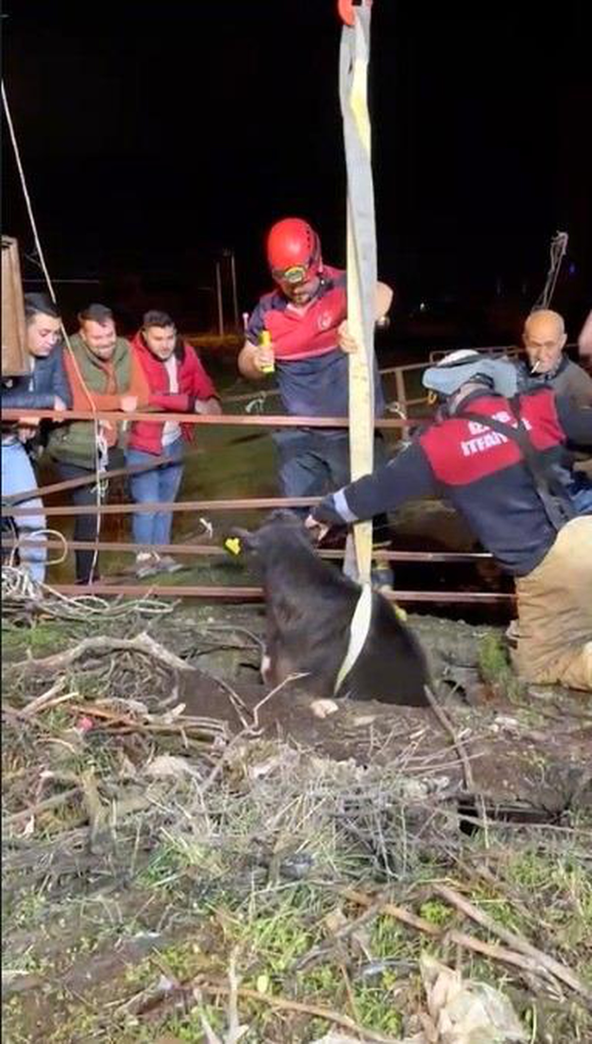 İzmir\'de Su Kuyusuna Düşen Buzağı Kurtarıldı