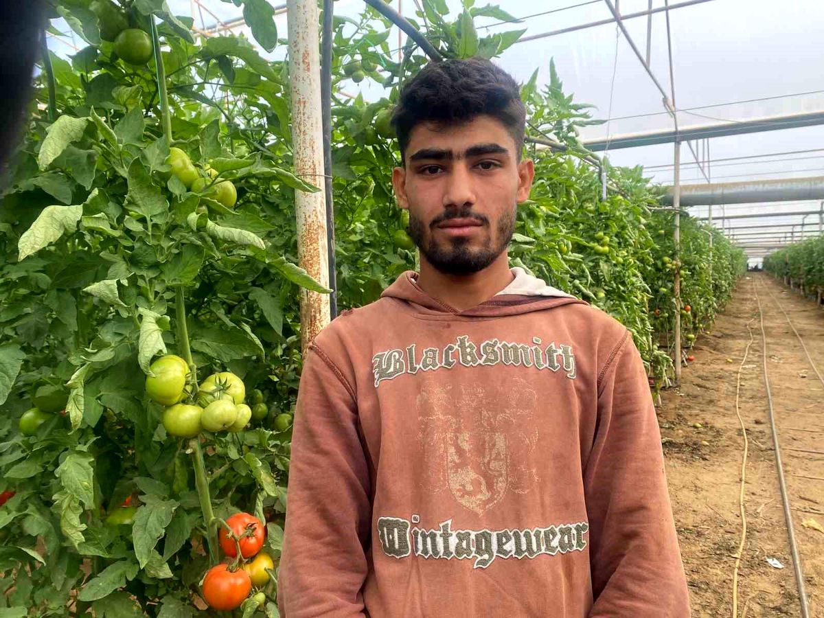 Suriye\'den Türkiye\'ye Göç ve Tarım İşçileri